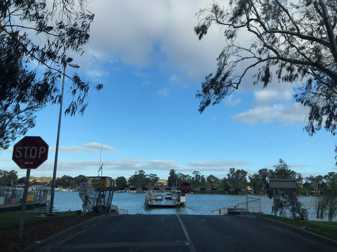 Mannum Ferry景点图片