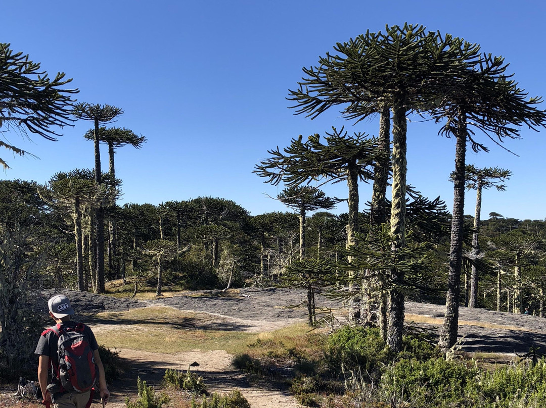 Wenimahuida Turismo-Angol必去景点