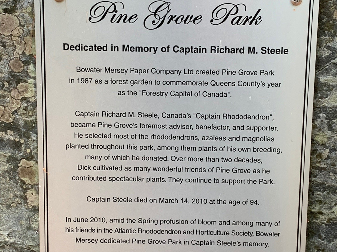 Pine Grove Park景点图片