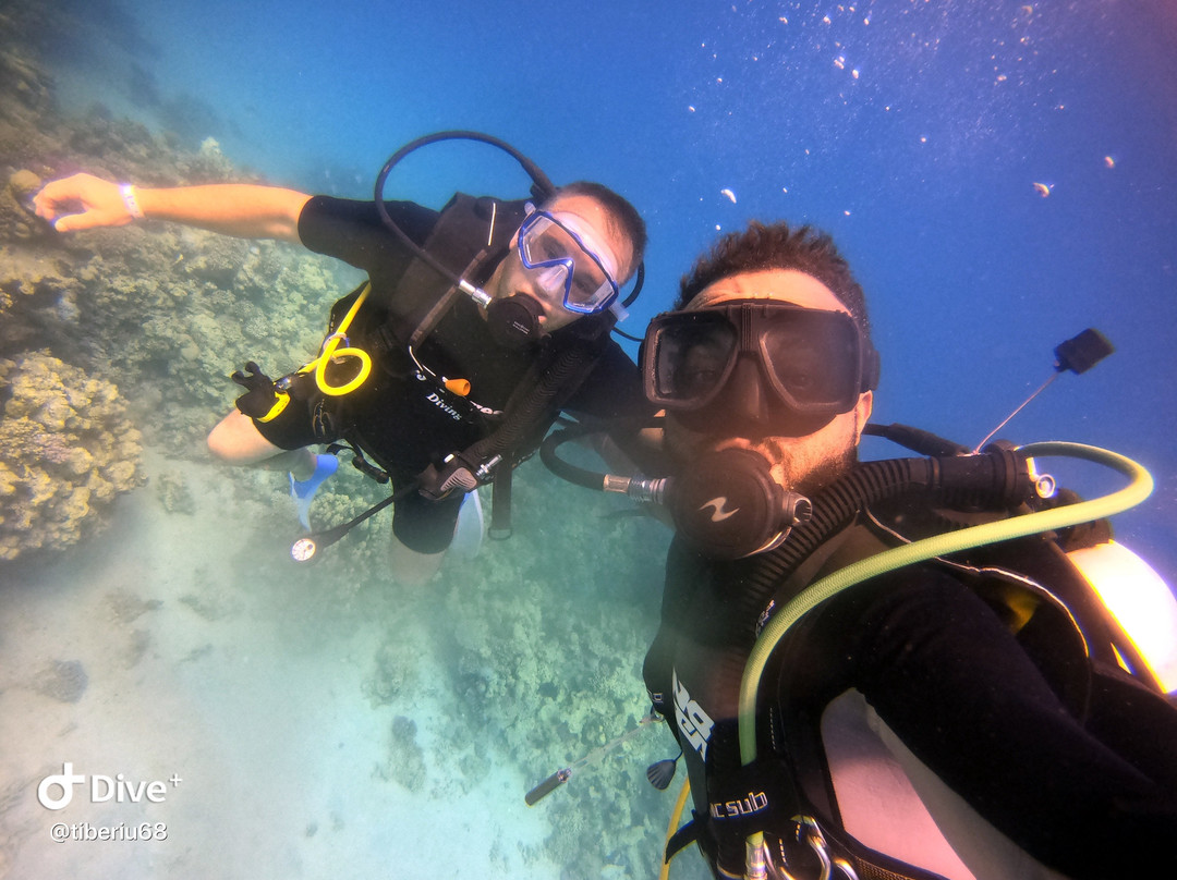 Crazy Waves Diving Club-赫尔格达必去景点