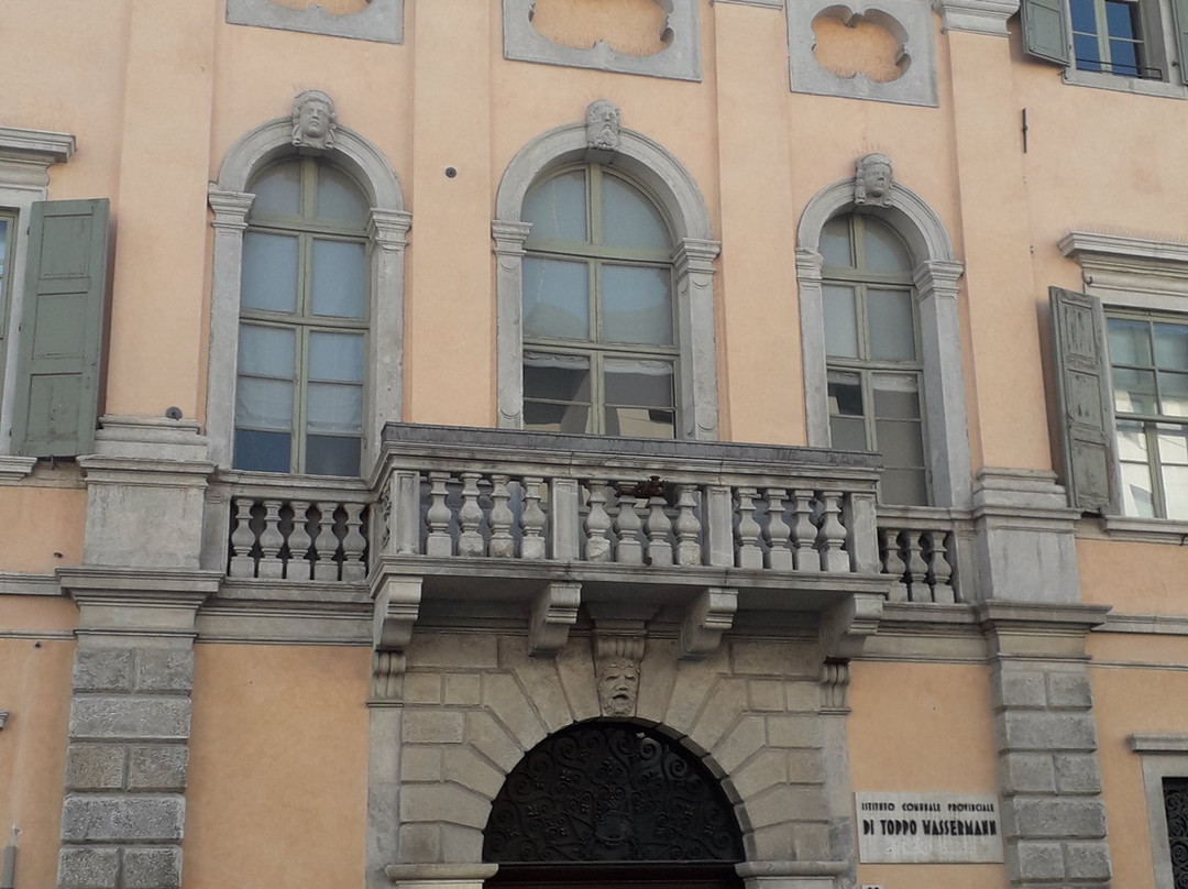 Palazzo Toppo Wassermann-乌迪内必去景点
