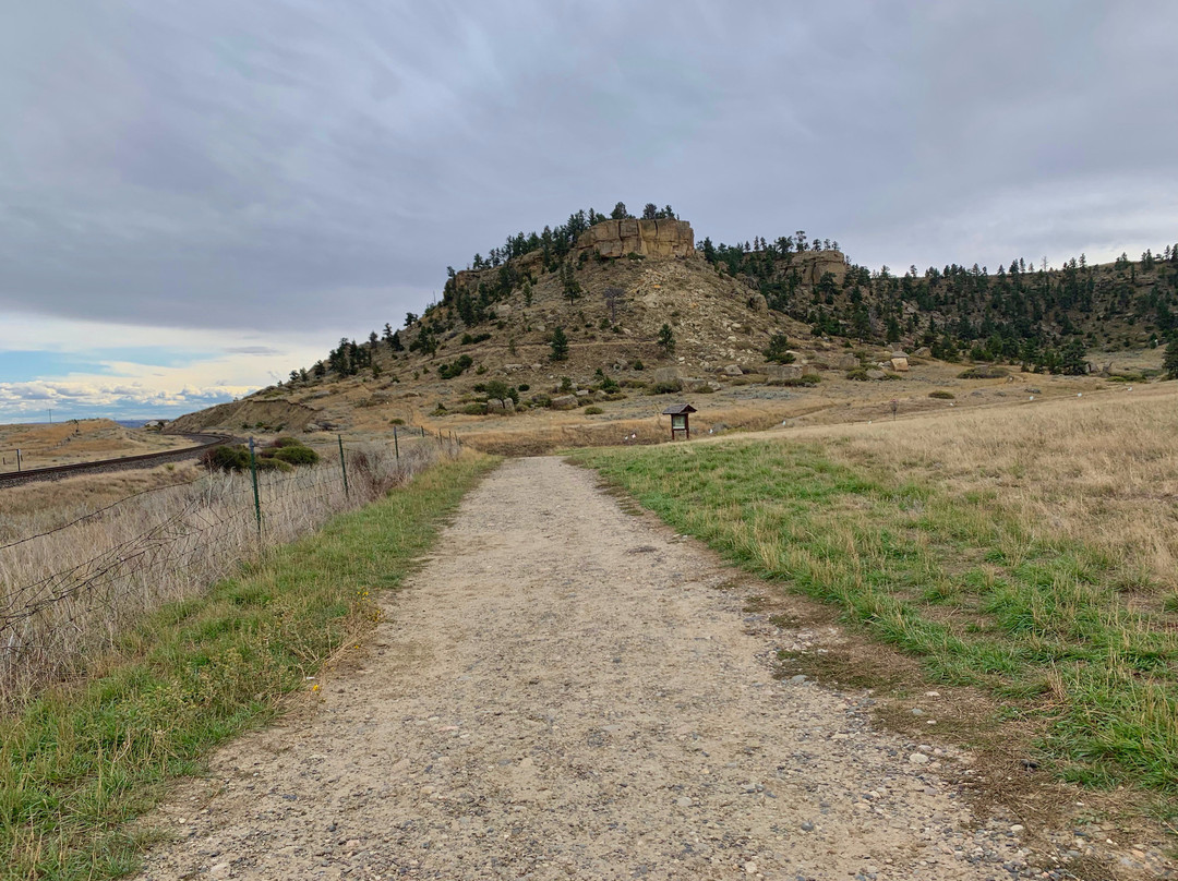 Phipps Park-比灵斯必去景点