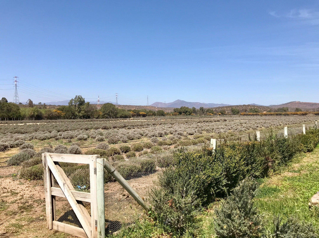 Granja Aromatica Los Aromos-Limache必去景点