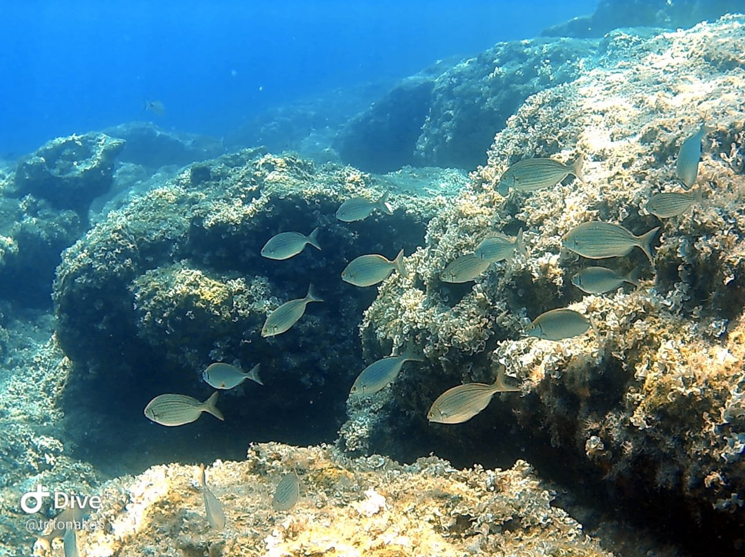 Triton Dive Center-罗德斯必去景点