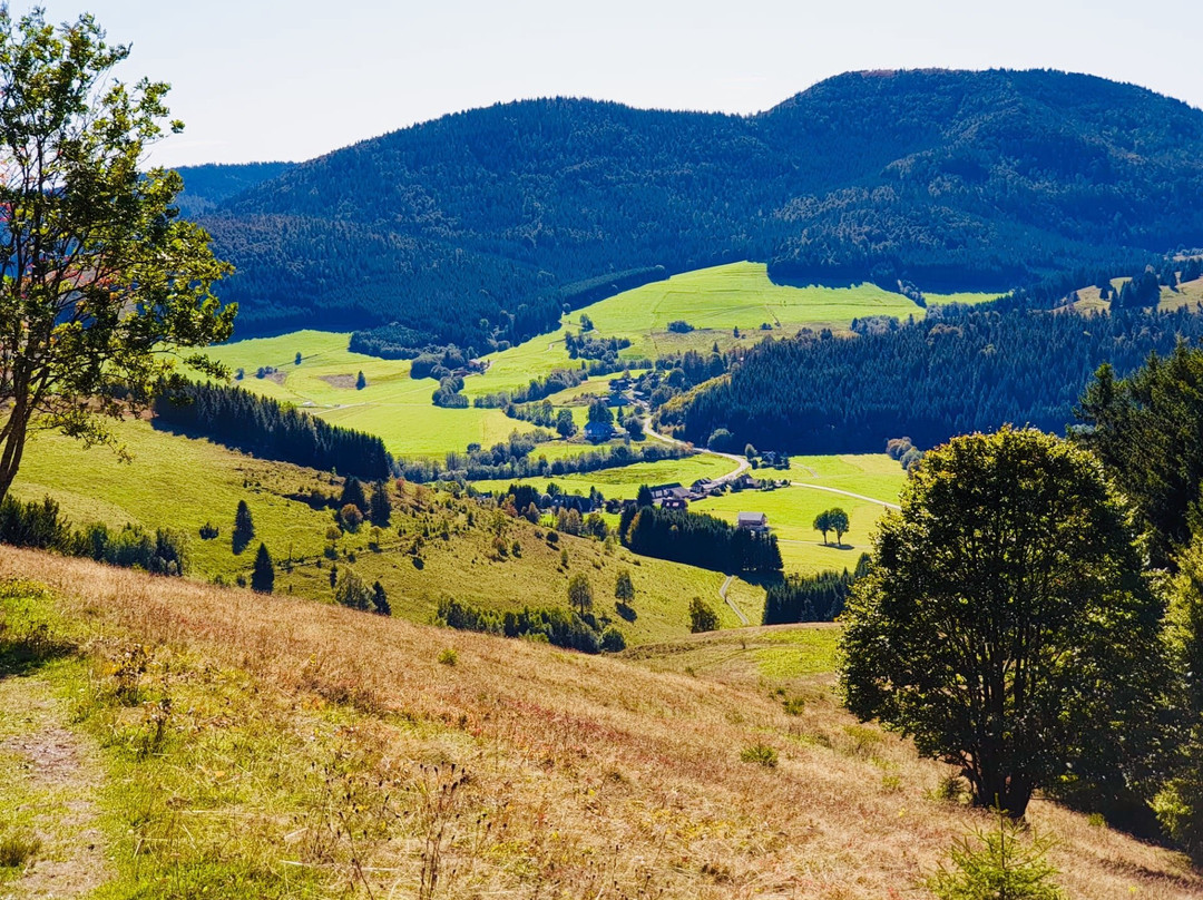 Hochtal Steig-Bernau im Schwarzwald必去景点