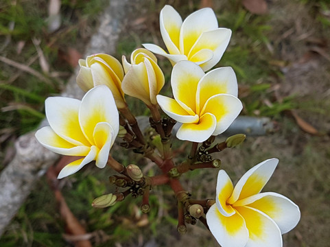 PALAWAN NATURE EXPEDITIONS-爱妮岛必去景点