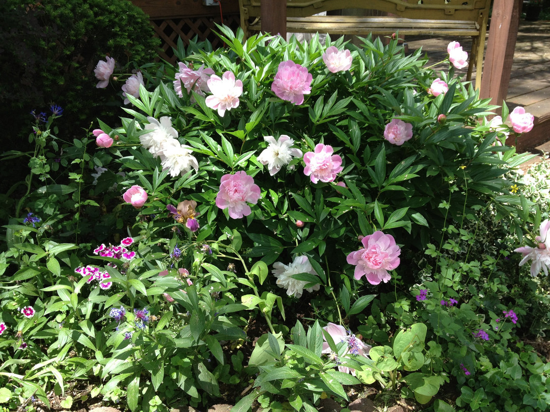 The Milkhouse Bed and Breakfast主图