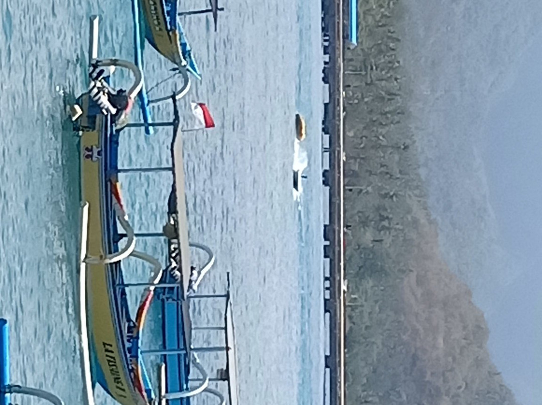 蓝色珊瑚礁海滩景点图片