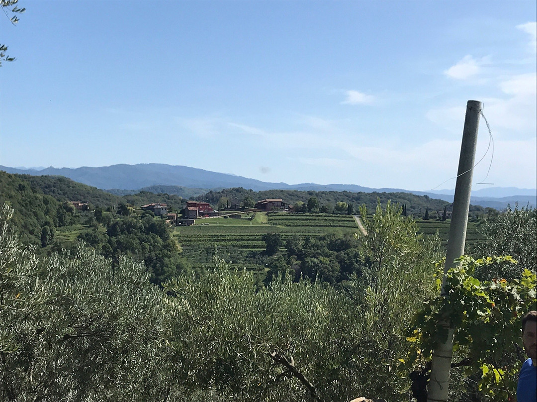 Paolino Comelli Winery景点图片