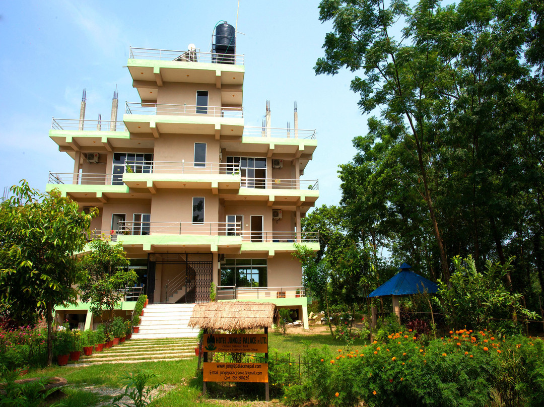 Hotel Jungle Palace