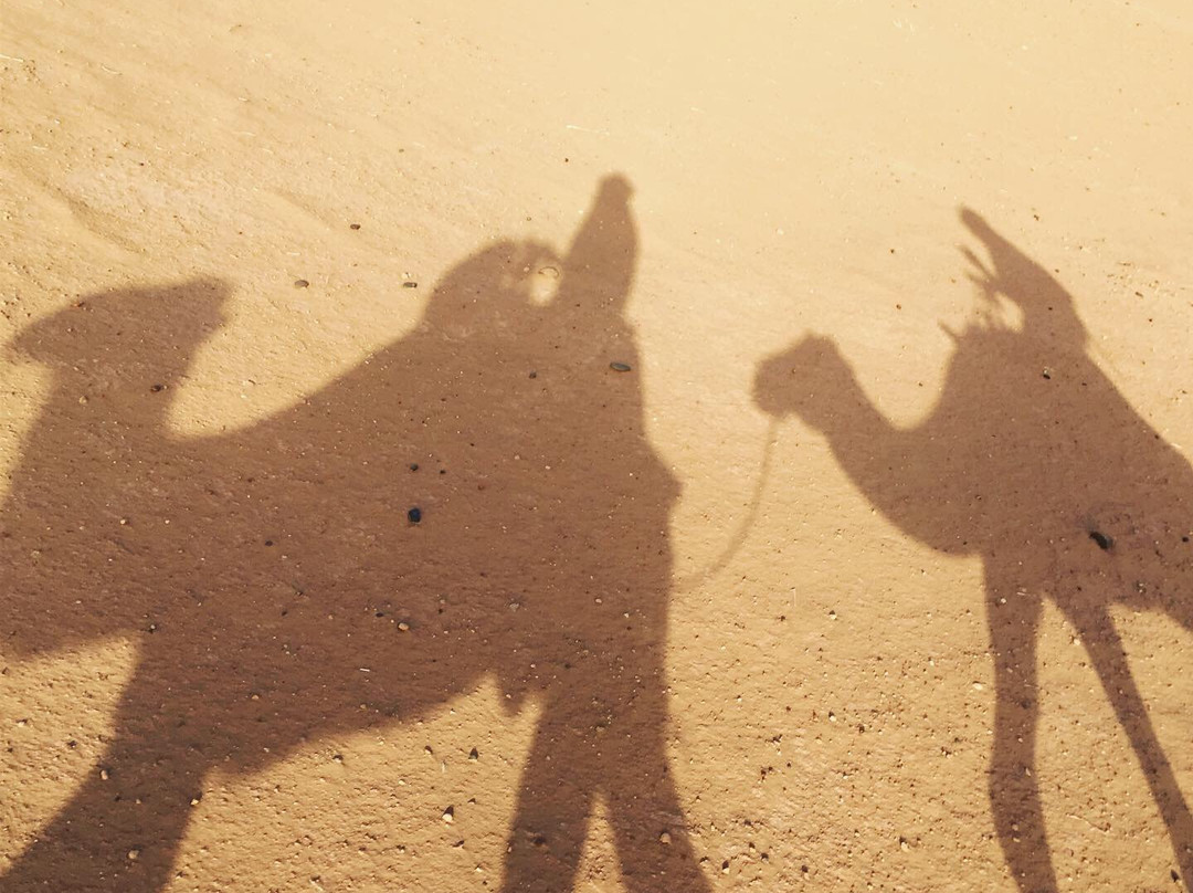 Souaken Tour-瓦尔扎扎特必去景点