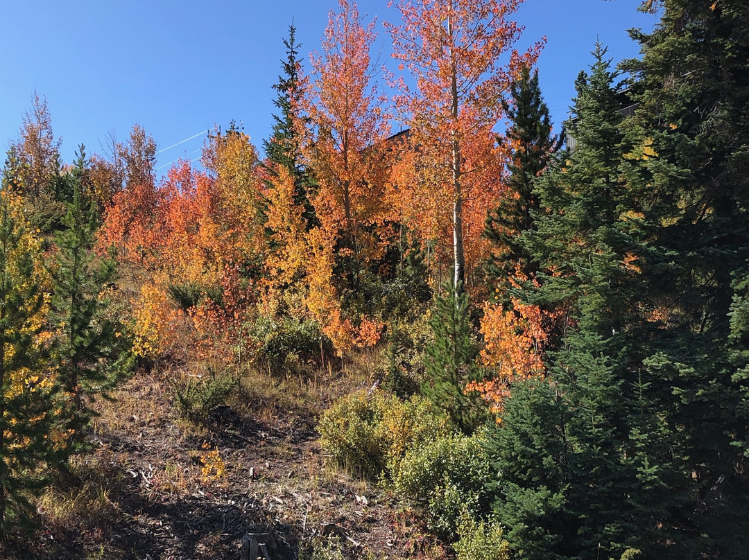 Elk Mountain Lodge主图