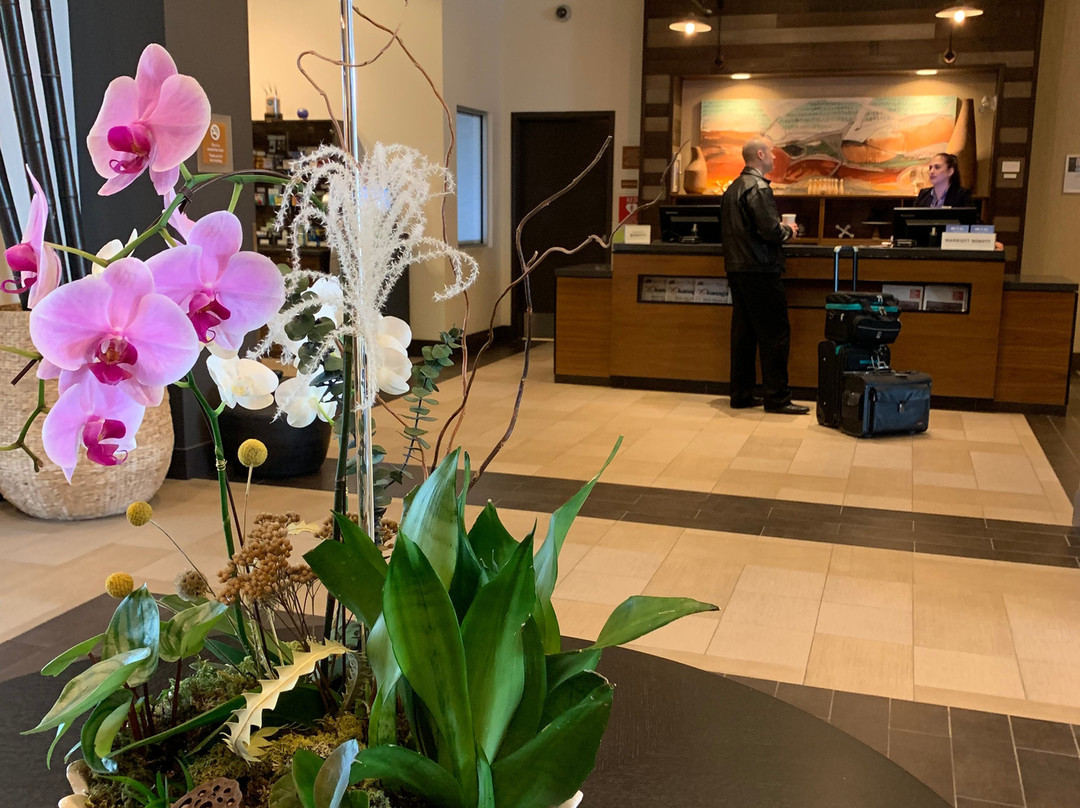 Four Points by Sheraton Kelowna Airport主图