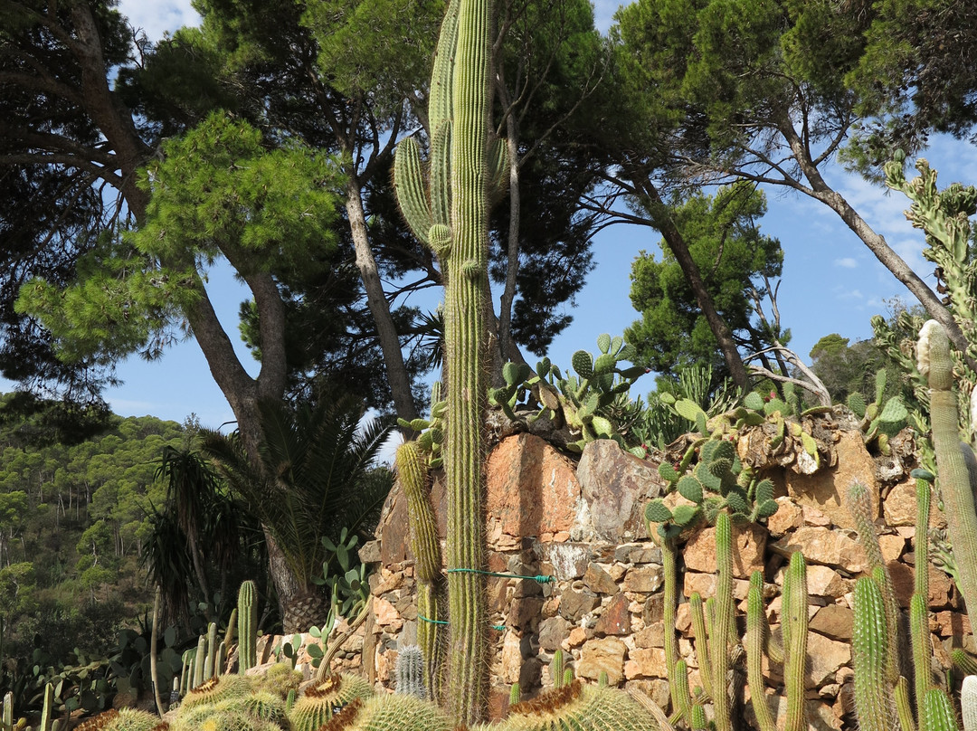 Jardi Botanic de Cap Roig景点图片