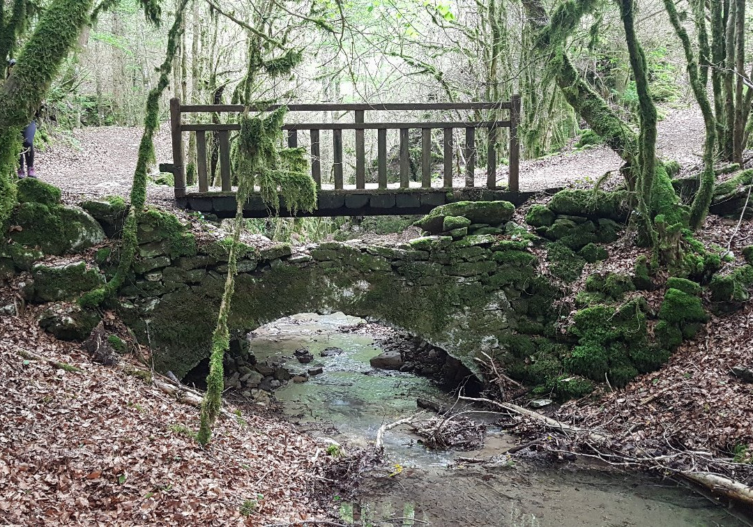 Gorges d'Omblèze景点图片