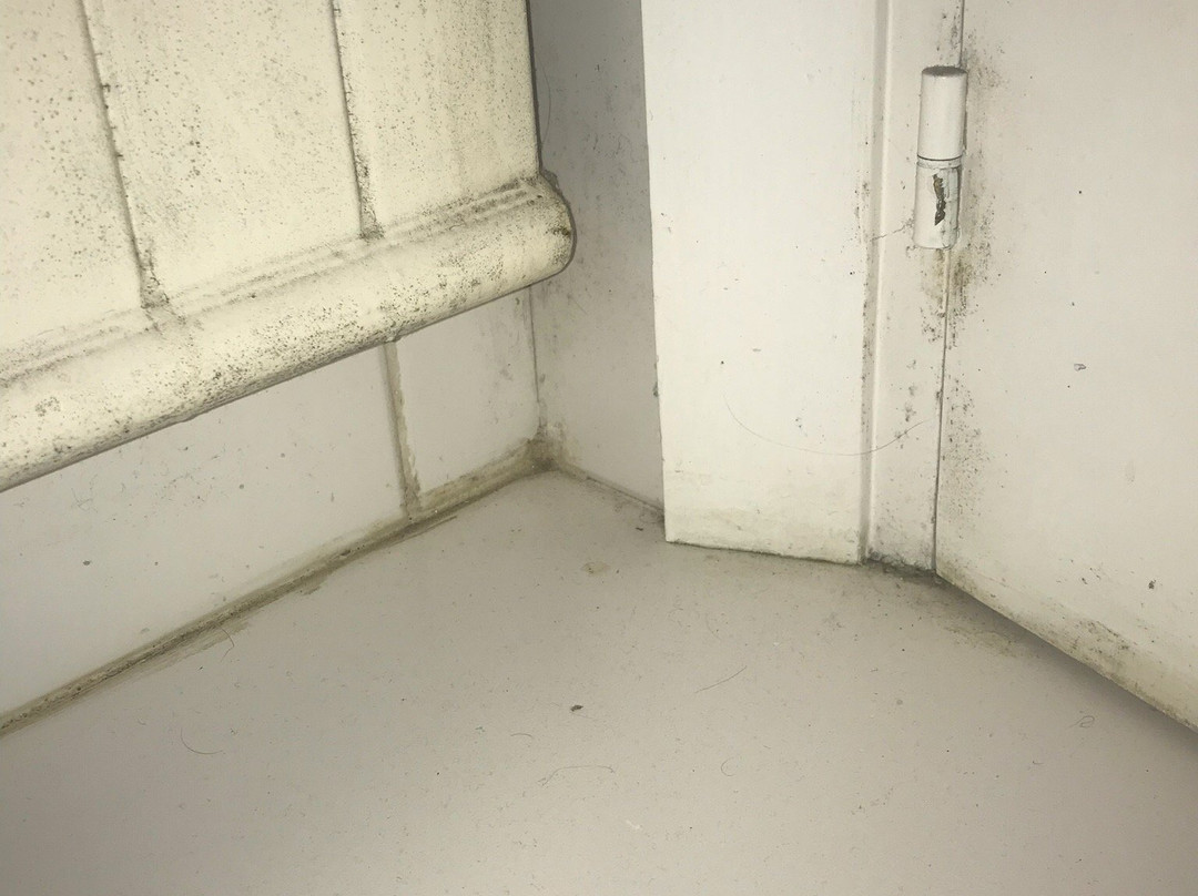 Arraigorri Landetxea主图