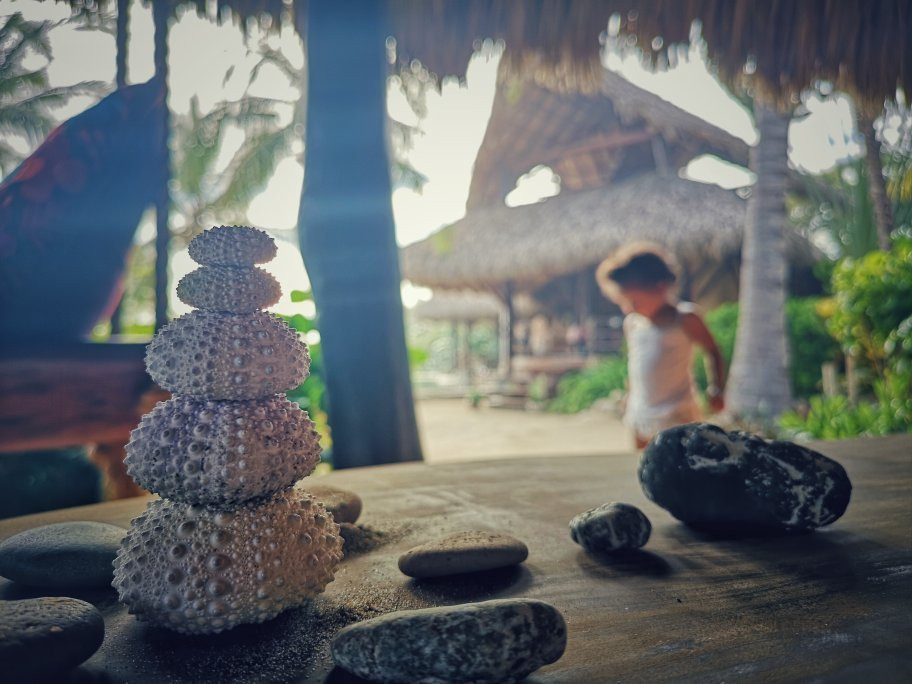 Casa Viva Troncones主图