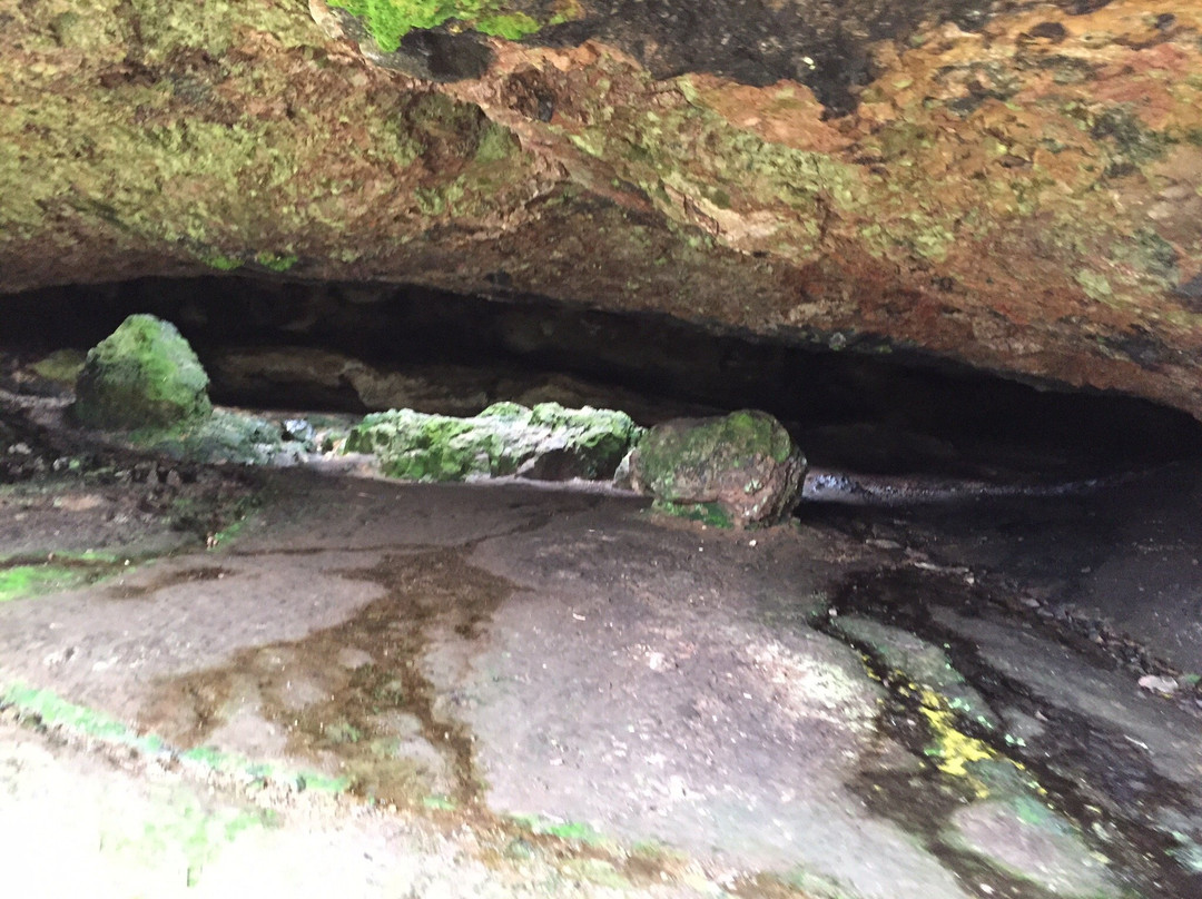 Grutas de Salamanca-Aigua必去景点