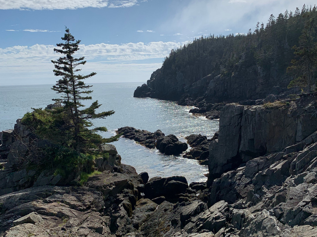 Quoddy Head State Park景点图片