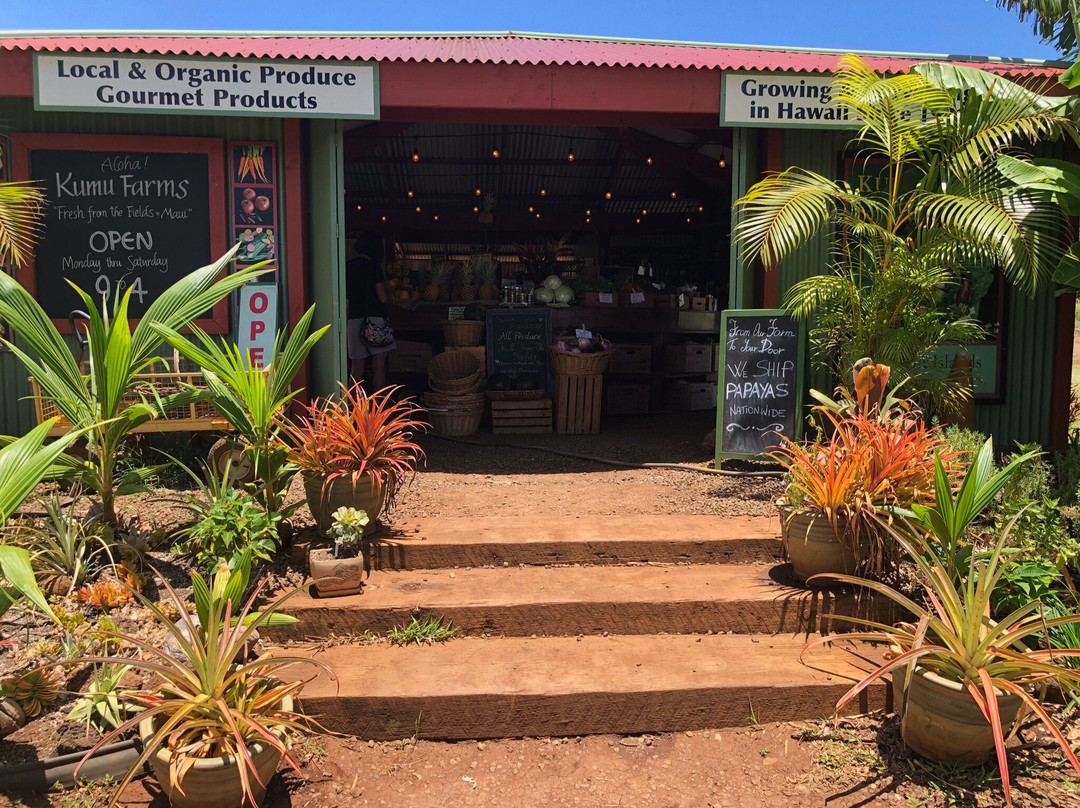 Kumu Farms-怀露库必去景点