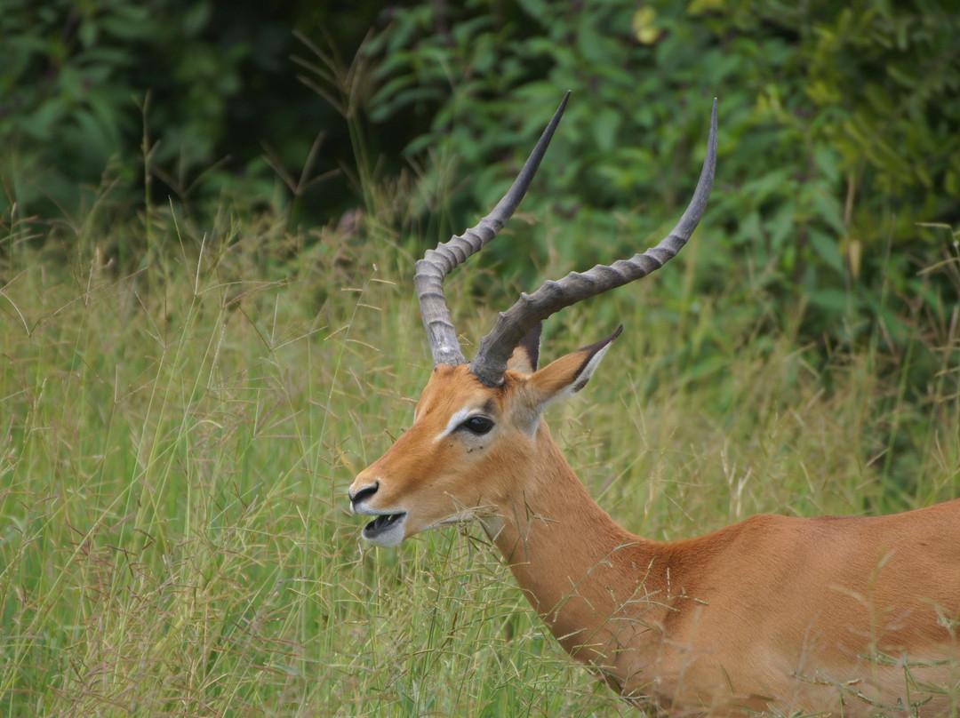 Hakuna Matata Expeditions-阿鲁沙必去景点
