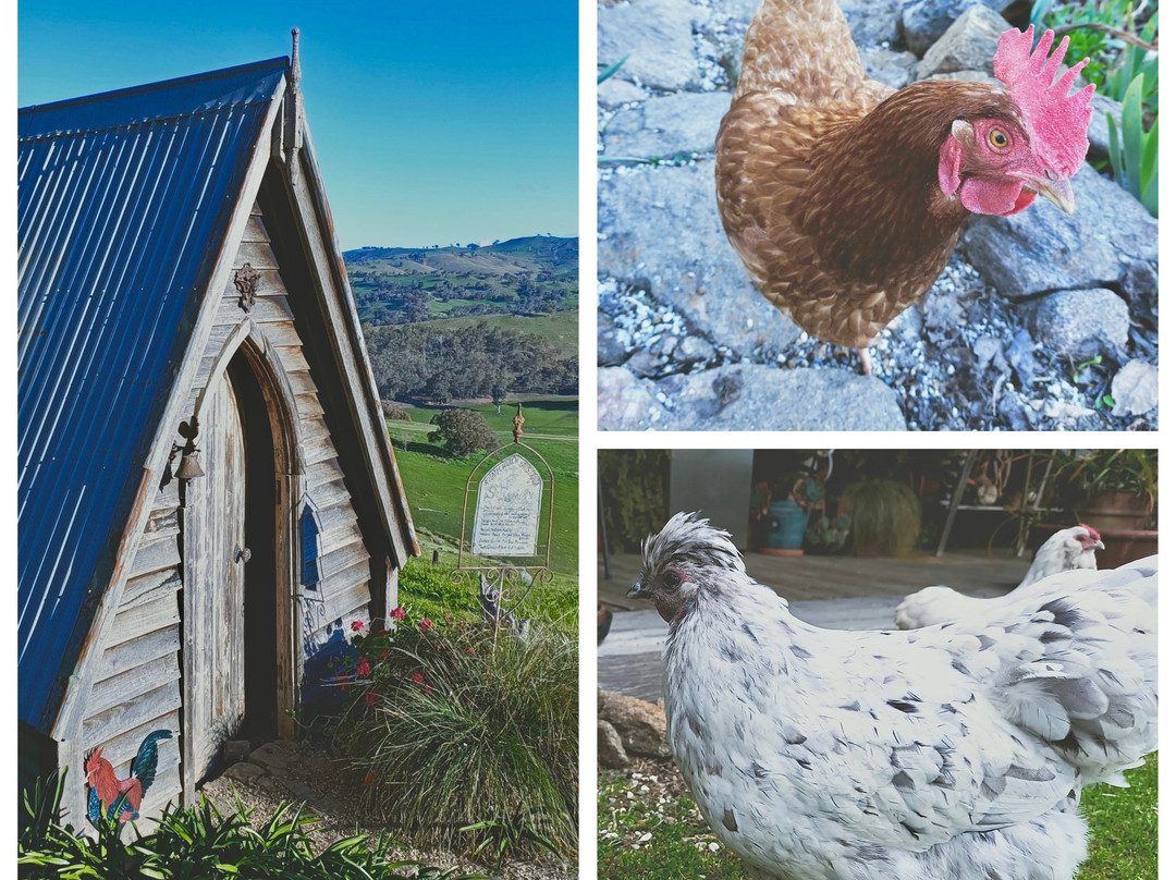 Inspiring Views Artisan Homestead主图