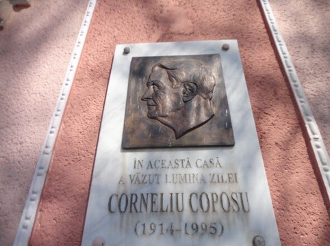 Complexul Cultural Sincai - Coposu-Bobota必去景点