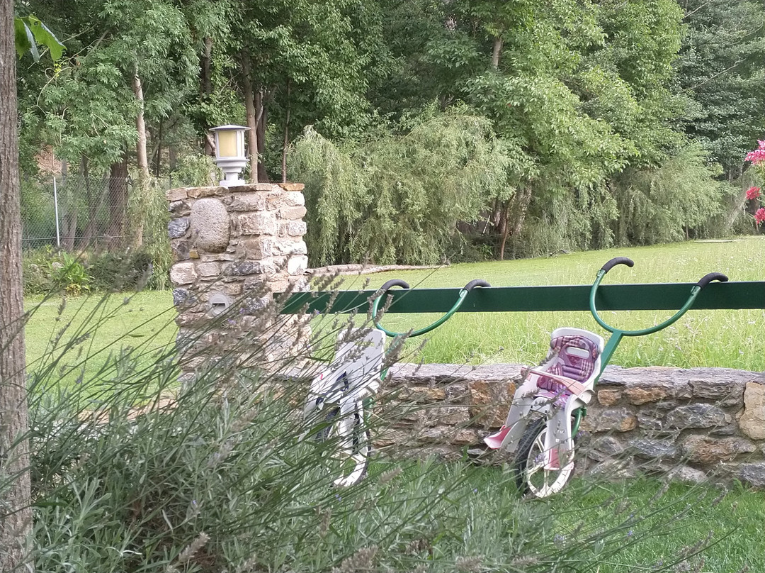 Borda de Ritort主图