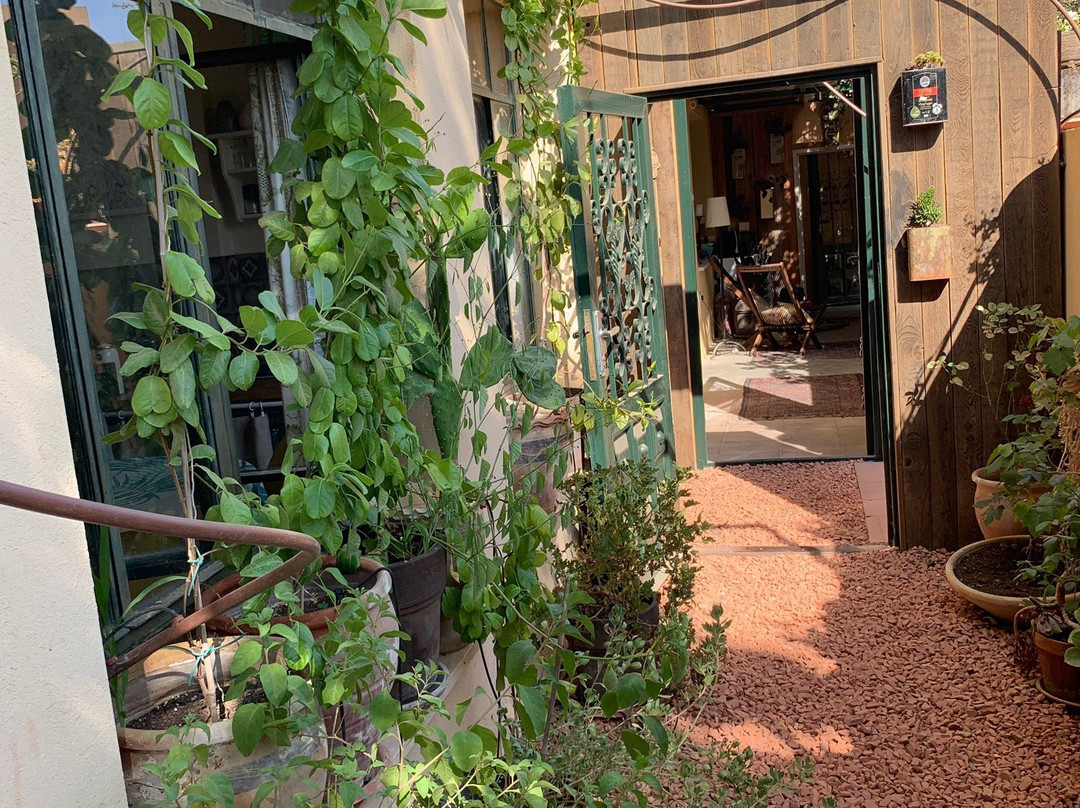 Krivine's Guest House主图