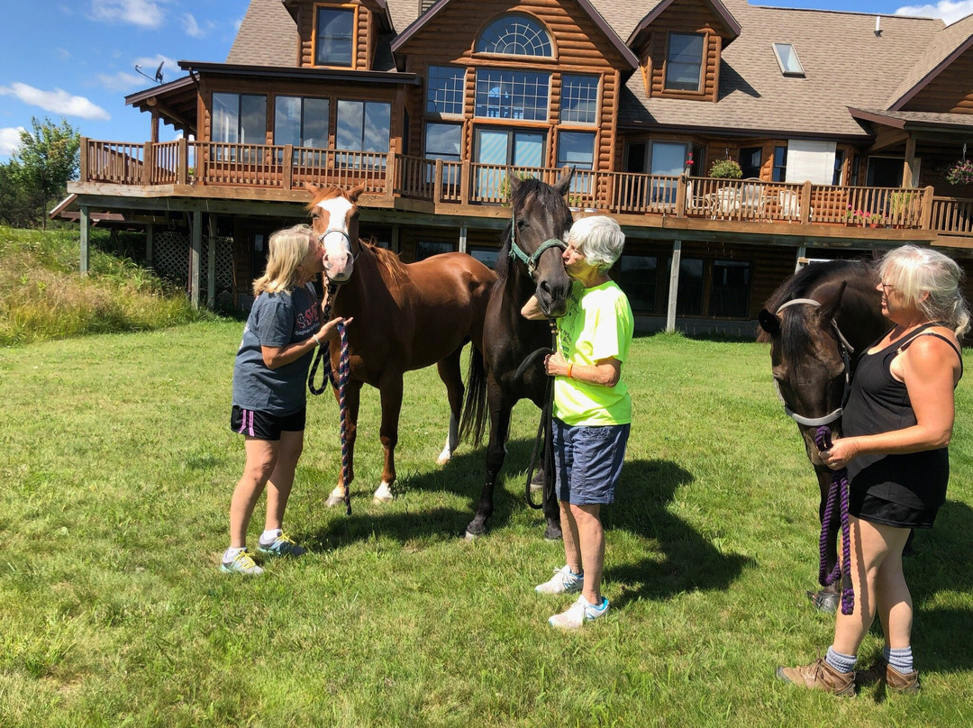 LogHaven Bed & Breakfast主图