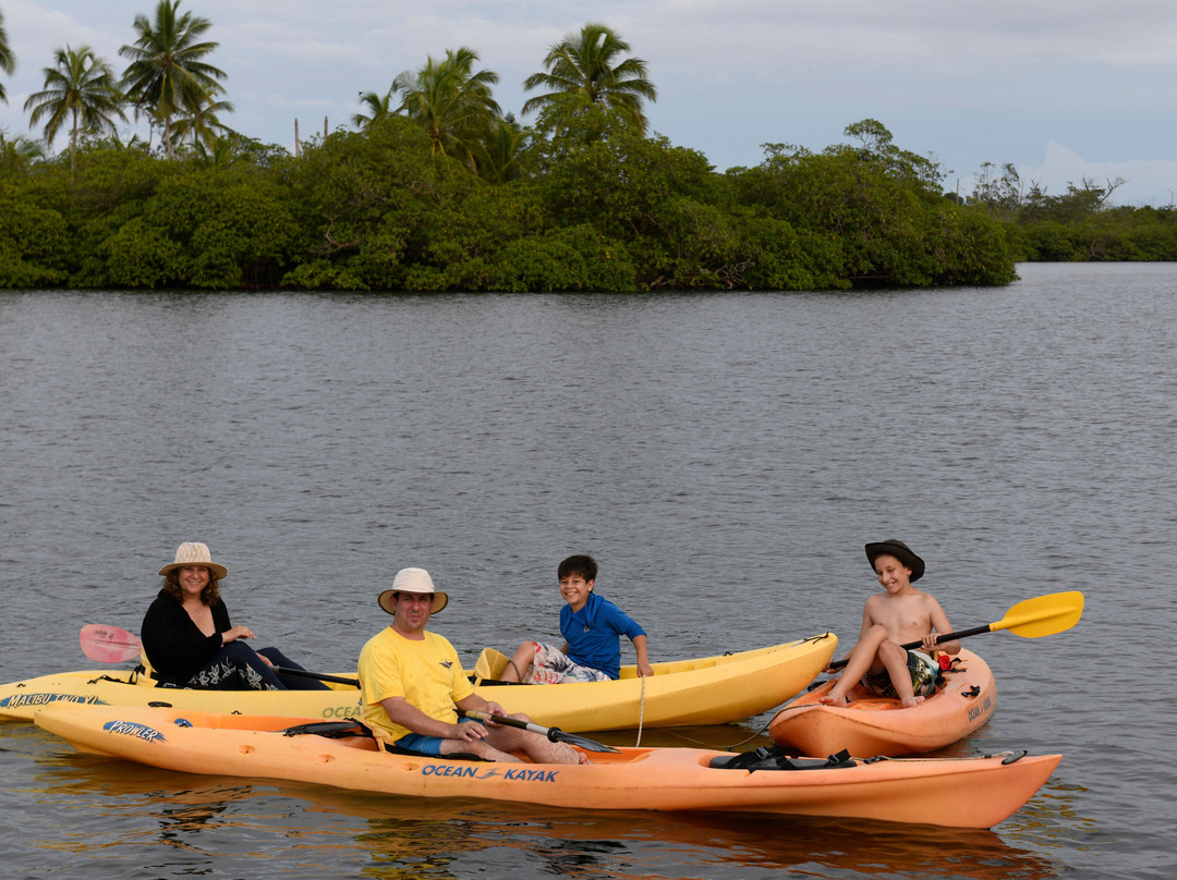 Tranquilo Bay Eco Adventure Lodge主图