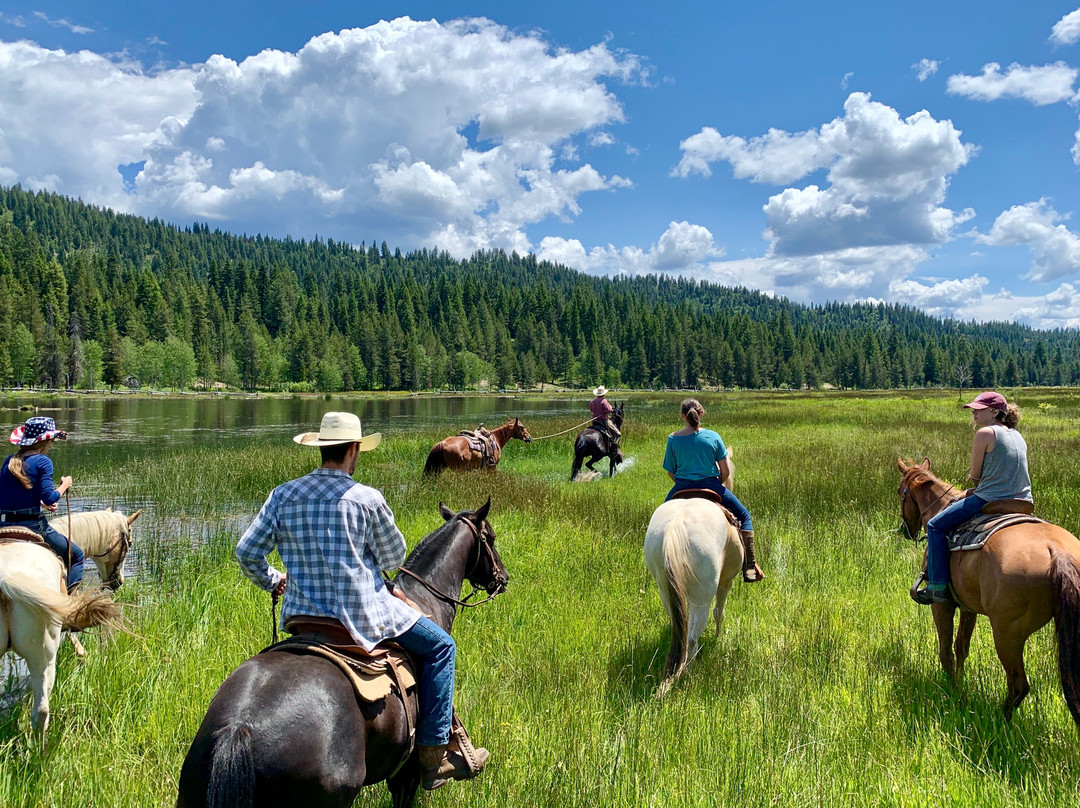 Longhorn Guest Ranch