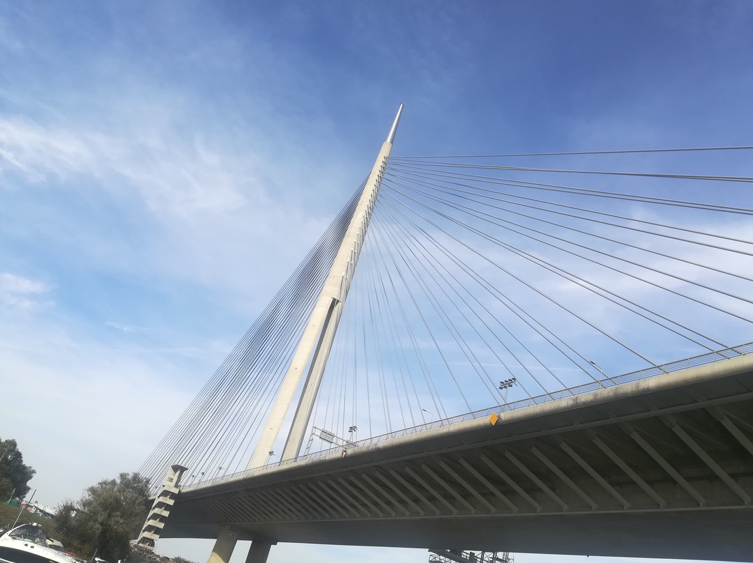 Sava Bridge-贝尔格莱德必去景点