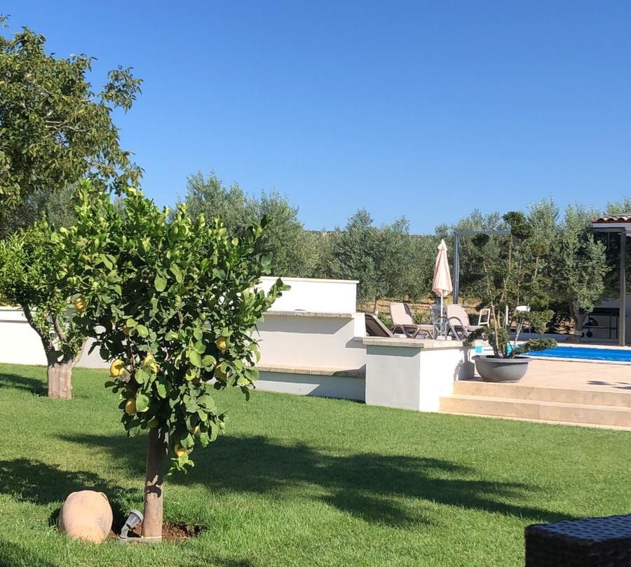 Terre di Zaccanello主图