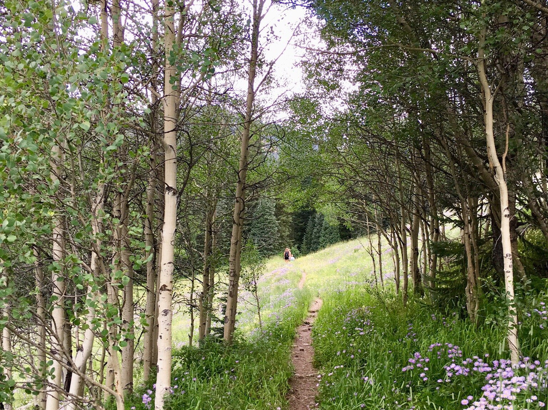 North Tenmile Trail #37-弗里斯科必去景点