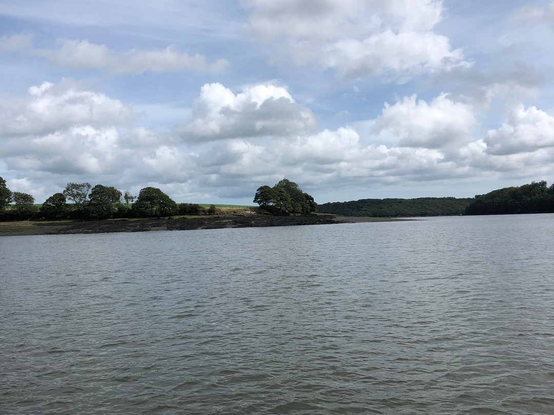 Discover Coast & Cleddau Boat Trips-Milford Haven必去景点