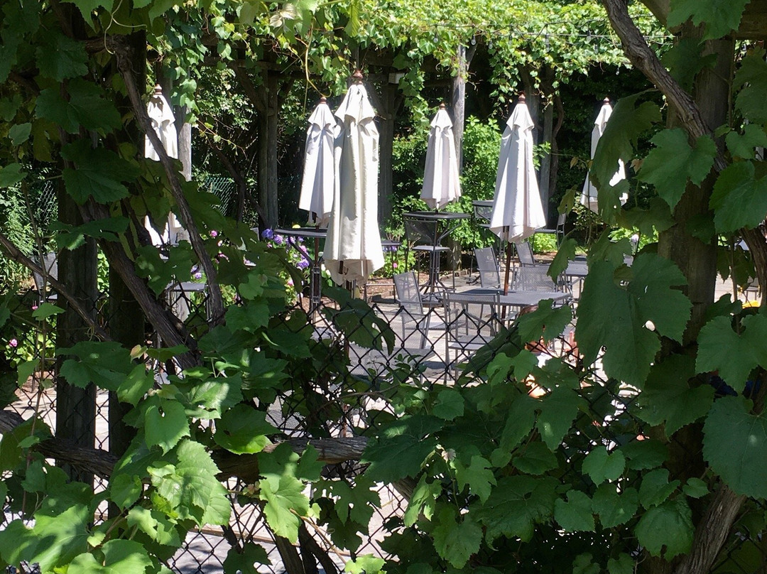 Lenz Winery景点图片