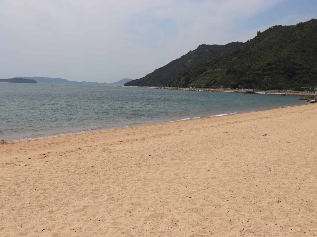 Shibukawa Coast景点图片