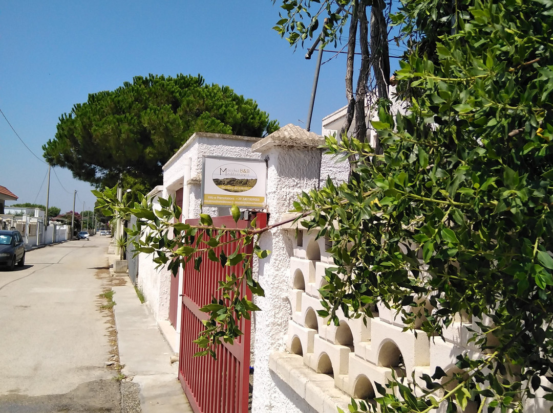 B&B Macchia Mediterranea主图