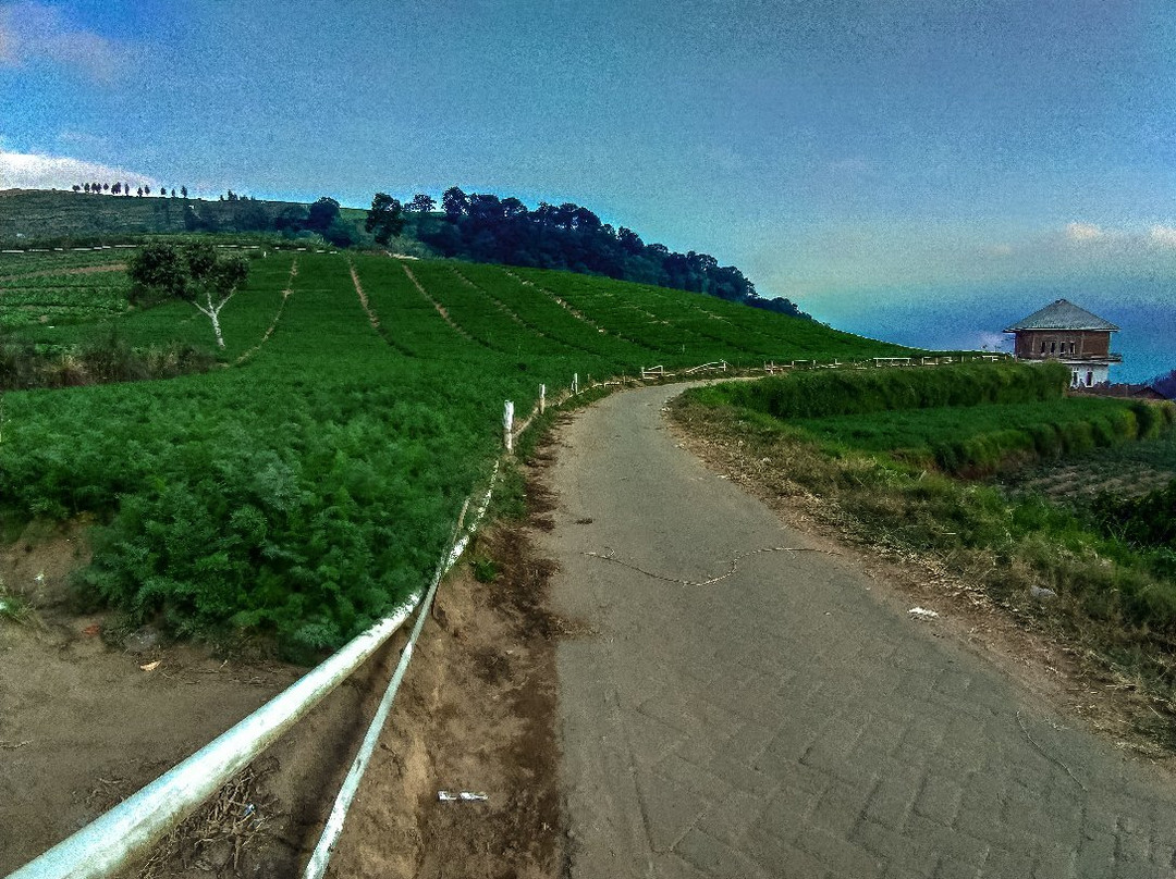 Java Tourist Map-西多尔佐必去景点