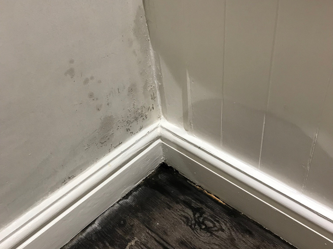 威尔怀兹阿姆斯酒店主图
