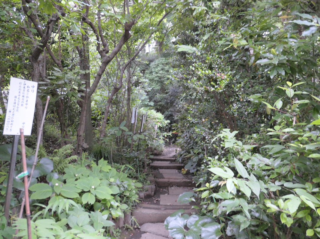 Manyo Botanical Garden景点图片