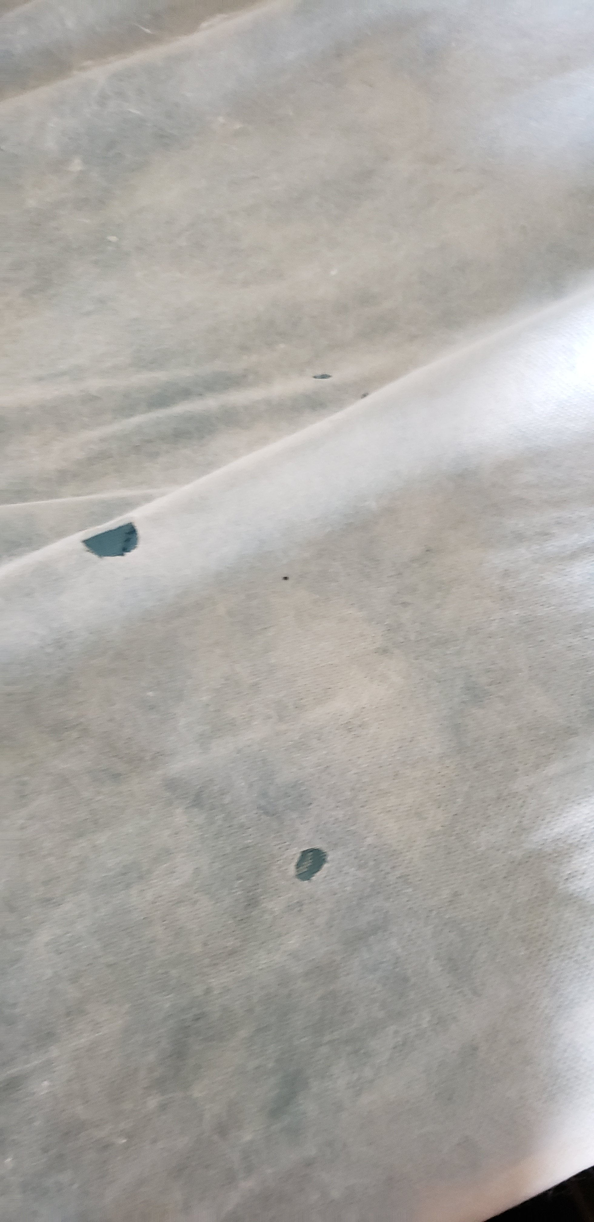 普雷斯顿堡速8酒店-portrait