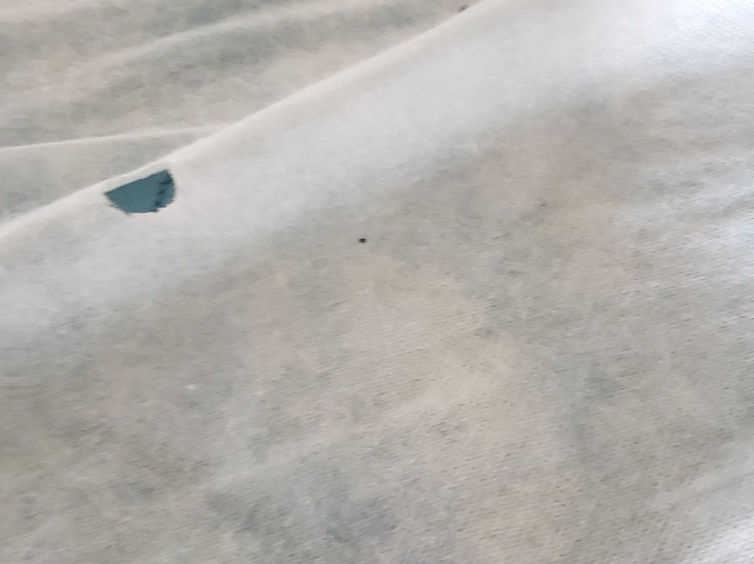 普雷斯顿堡速8酒店主图