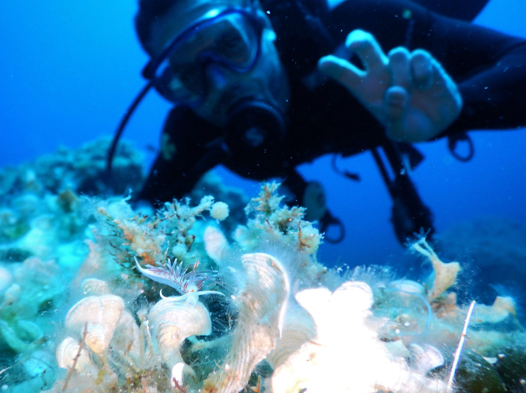 Mykonos Diving Center景点图片