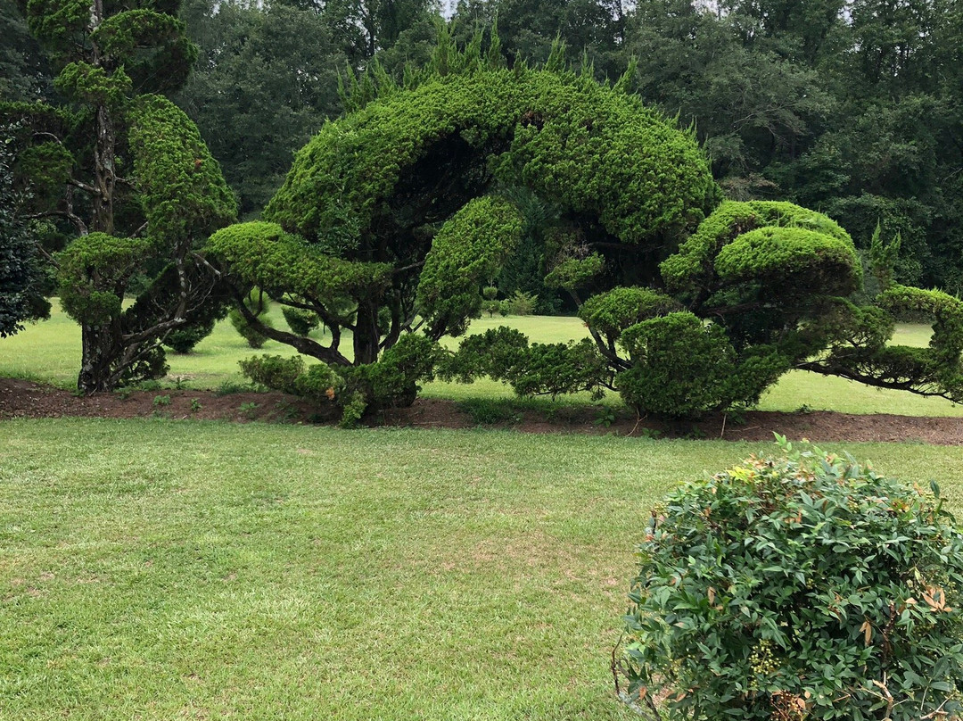 Pearl Fryar's Topiary Garden-Bishopville必去景点