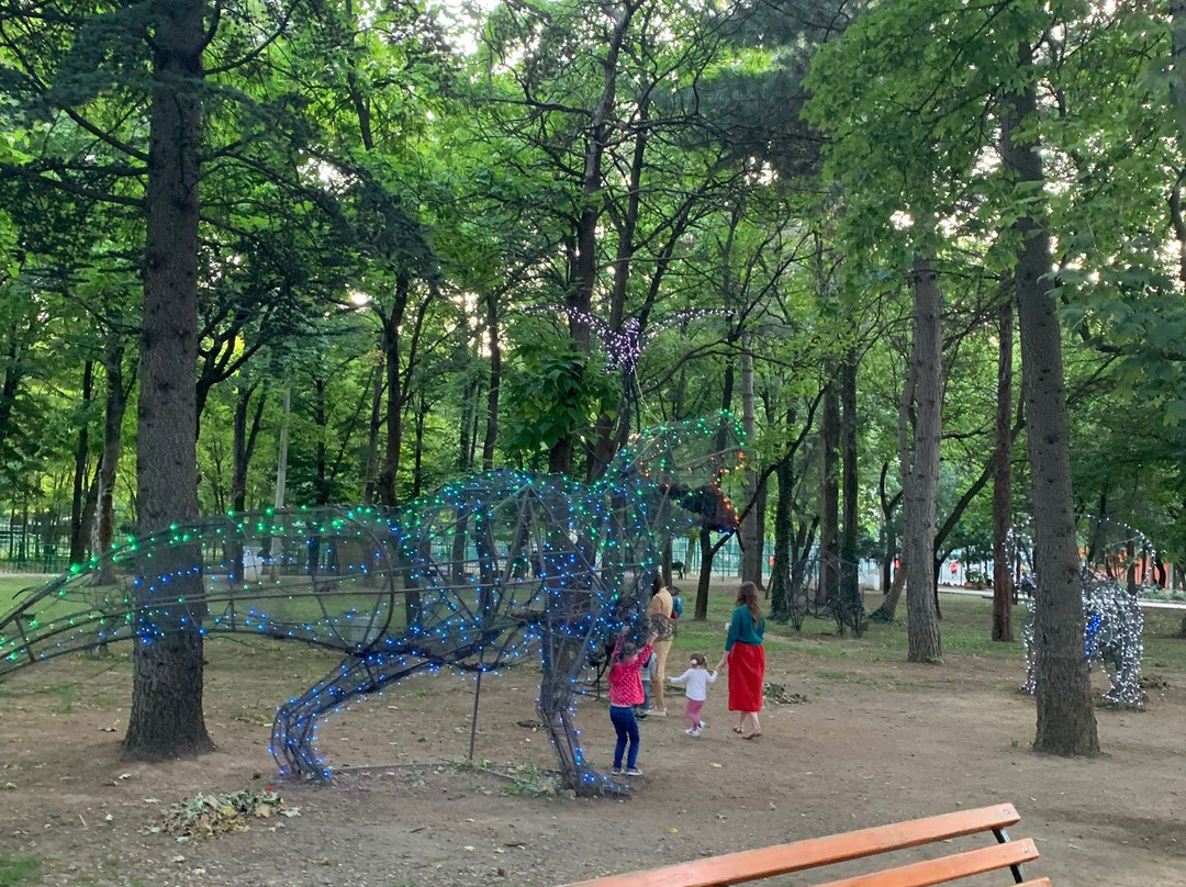 Children's Park-辛非洛普必去景点
