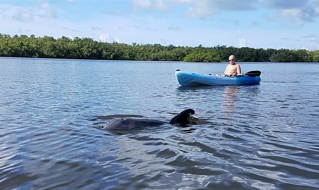 Seaside Kayaking-博尼塔斯普林斯必去景点