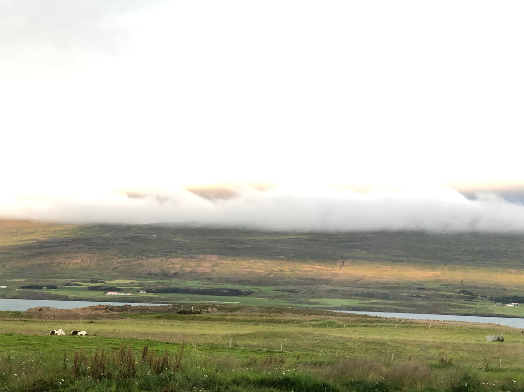 Guesthouse Petursborg主图