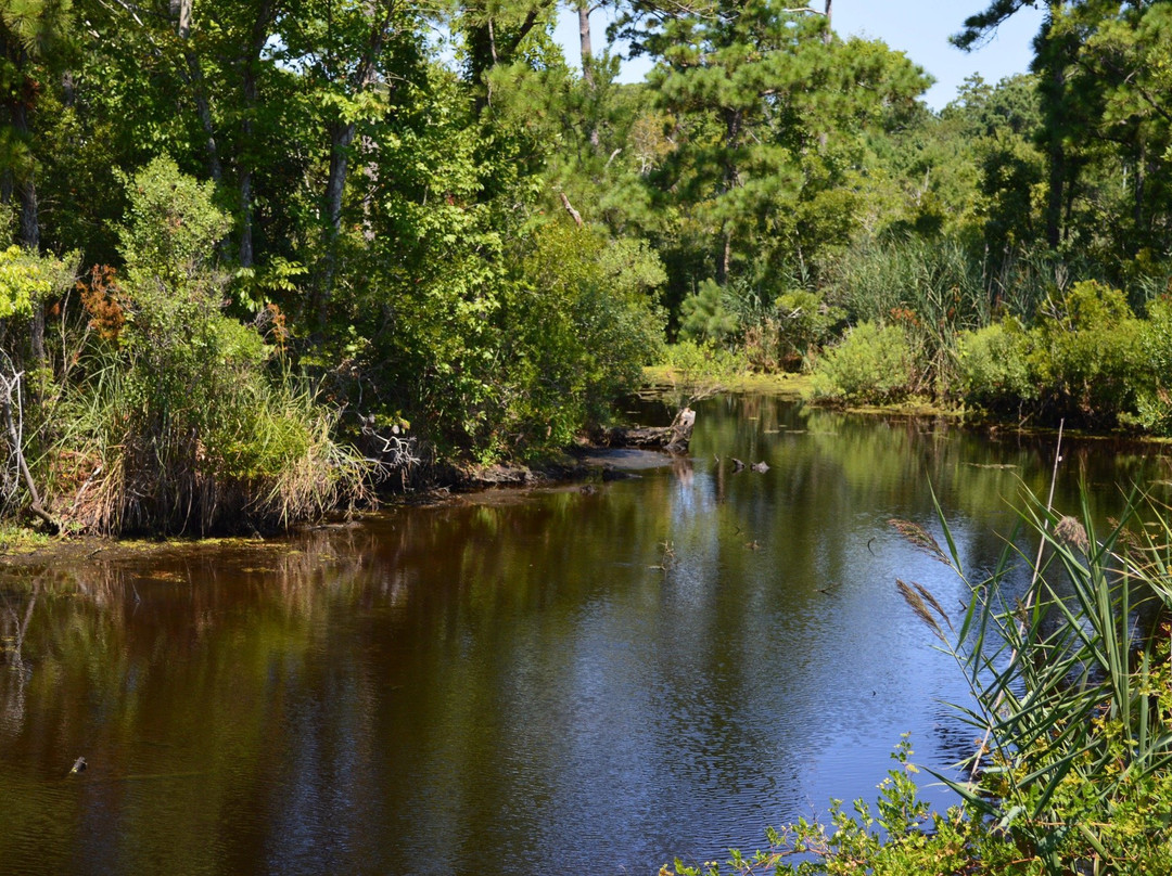 Sandy Run Park景点图片